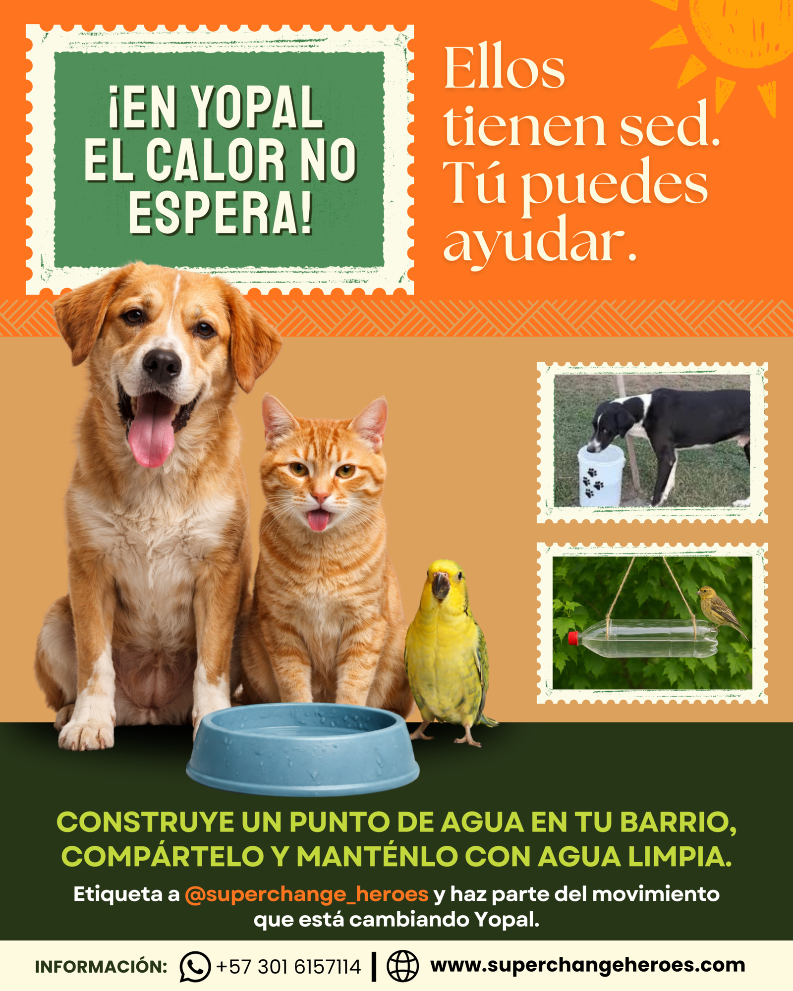 El calor no espera: crea un punto de agua para la fauna de Yopal